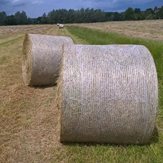 HDPE Woven Silage Hay Baler Netting Wrap UV Bale Net