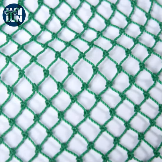 Container Chicken Aquaculture Pallet Wrap Hemp Tilapia Sports Netting Nylon Knotted Webbing Cargo PE Braided Fishing Knotless Polyethylene Net Price