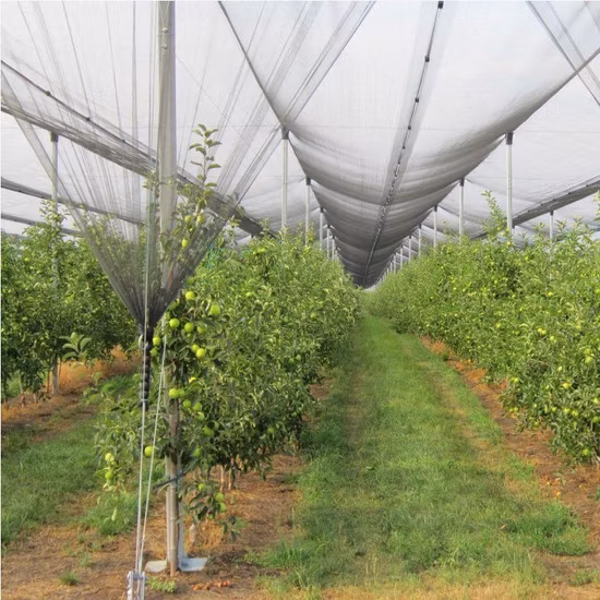 Anti Hail Net /Hail Protection Net /Hail Net