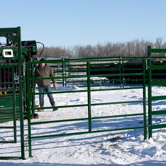 Galvanized Cattle Yard Fence with Low Price and Best Quality